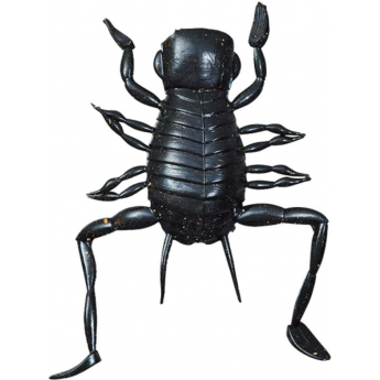 Силиконовая приманка DAIWA Kikker Kikker (3.5см) Black Силиконовая приманка DAIWA Kikker Kikker (3.5см) Black