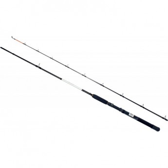 Спиннинг штекерный DAIWA ACCUDEPTH TROLLING 2.40M 12-25LB Спиннинг штекерный DAIWA ACCUDEPTH TROLLING 2.40M 12-25LB